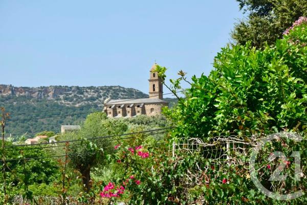 Maison à vendre  8 pièces - 218 m 2   PATRIMONIO  - 202