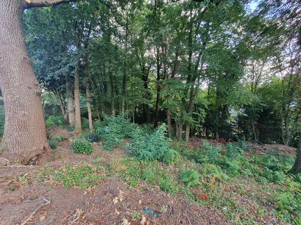 Terrain à vendre de 985 m² à Quimperlé, exposition sud-est, vue dégagée