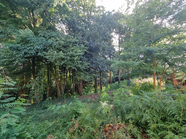 Terrain à vendre de 985 m² à Quimperlé, exposition sud-est, vue dégagée