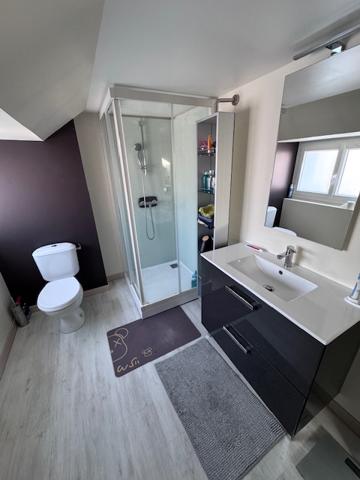 EXCLUSIVITÉ – MAISON T6 RÉNOVÉE AVEC TERRASSE EN PLEIN CŒUR DE LA RIVE GAUCHE (LAVAL, 53)