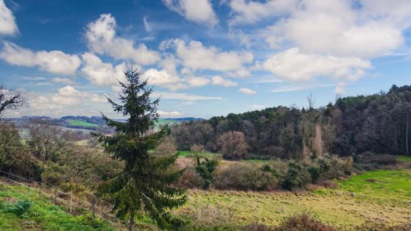 Charmant ensemble en pierre au calme, 10 pièce(s) 234 m2, belle vue sur la campagne