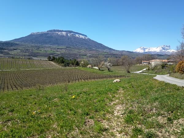 Terrain
        
        - 1471 m² Exclusivité 110 000 € *