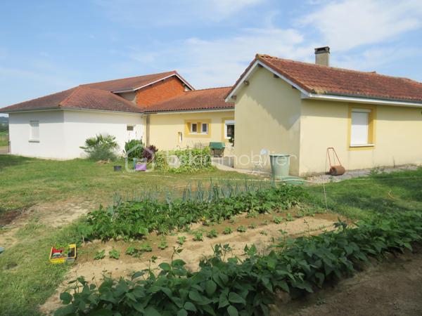 Dans le Gers (32), sur la commune de Projan, idéalement située entre Garlin et Aire-sur-l'Adour, découvrez cette belle maison ancienne entièrement rénovée, offrant un cadre de vie paisible en pleine campagne, sans aucun vis-à-vis.

Dès l'entrée, vous serez séduits par ses volumes généreux, sa luminosité traversante et le confort de ses prestations. La pièce de vie principale se compose d'une cuisine aménagée et équipée avec électroménager récent, ouverte sur un vaste séjour baigné de lumière grâce à ses grandes baies vitrées. Cet espace convivial donne directement accès à la terrasse et bénéficie d'un poêle à granulés pour un confort optimal.
La partie nuit comprend trois chambres avec placards intégrés, une salle d'eau récente et un WC indépendant. Une cuisine d'appoint/buanderie complète l'ensemble. 
Un premier garage attenant offre également la possibilité de créer facilement une chambre supplémentaire ou une suite parentale selon vos besoins.

Côté confort, aucun travaux n'est à prévoir : menuiseries PVC double vitrage, volets roulants électriques, poêle à granulés, convecteurs récents, toiture et ravalement en excellent état (récent), assainissement conforme. 
Son classement énergétique en D témoigne de ses bonnes performances.

Cette propriété se distingue également par son important potentiel d'évolution. Vous bénéficierez de près de 100 m² de combles aménageables, d'une dépendance de plus de 65 m² et d'un double garage de 38 m², offrant de nombreuses possibilités : atelier, stockage, activité professionnelle, logement complémentaire ou projet de gîte.
À l'extérieur, un terrain plat et entièrement clôturé de 2 408 m² accueille un agréable jardin arboré, un verger ainsi qu'un puits fonctionnel pour l'arrosage. Deux portails électriques facilitent l'accès à la propriété.
Une maison clé en main qui allie le charme de l'ancien, le confort moderne et un fort potentiel d'aménagement, dans un environnement privilégié de la campagne.

À visiter sans tarder !

Contactez Frédéric pour organiser votre visite