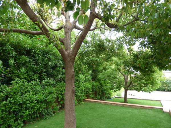 Maison indépendante 4 chambres- piscine- au calme absolu