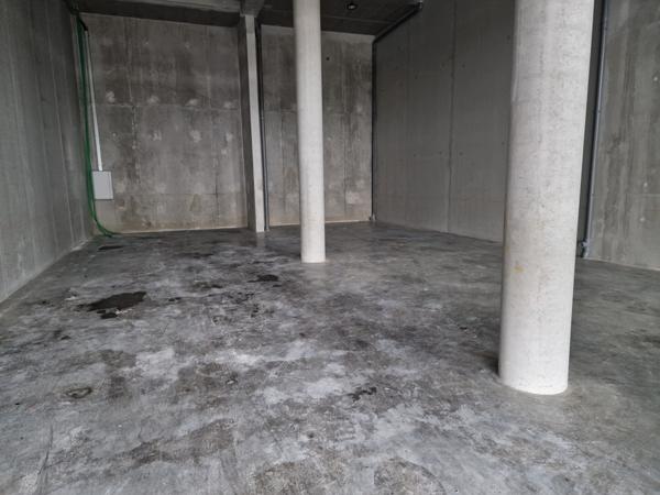 Poisy (74330) LOCAL D'ACTIVITE