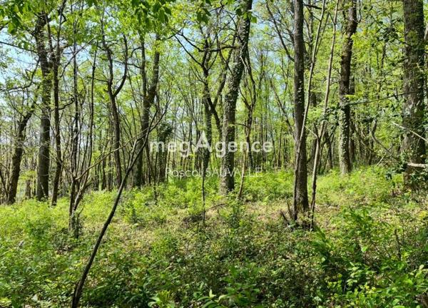 Terrain à CHANCELADE, 24650 - 4400m²