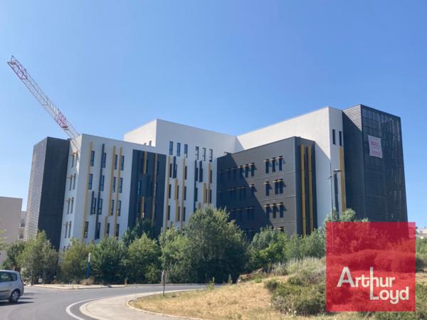 BUREAUX A LOUER - MONTPELLIER PIERRES VIVES