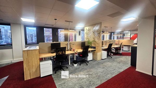Location bureaux Villeurbanne environnement professionnel accès multimodal