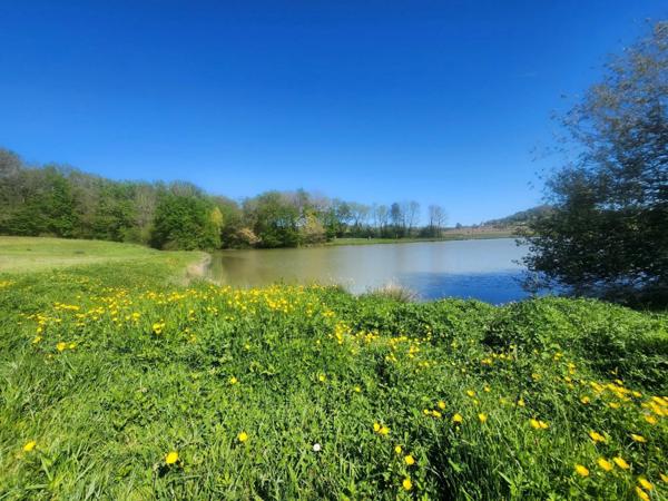 Terrain de loisirs avec étang de pêche en campagne - à vendre - VILLENEUVE SUR LOT (47)