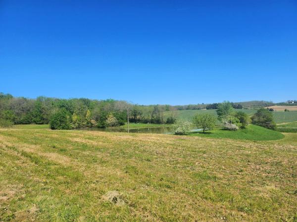 Terrain de loisirs avec étang de pêche en campagne - à vendre - VILLENEUVE SUR LOT (47)