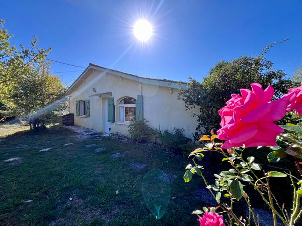 Secteur Villeneuve-sur-Lot, découvrez cette maison de plain-pied de 147 m², comprenant également un appartement indépendant, le tout implanté sur un vaste terrain arboré de plus de 1 100 m². La maison principale se compose d'un séjour de 28,83 m², bénéfic , Villeneuve sur lot