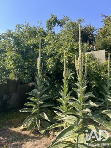 Maison à vendre 6 pièces 126 m² Cauffry