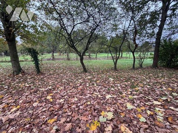 Nouveauté TRENTE-CINQ Notaires - NOYAL-CHATILLON-SUR-SEICHE 

Un ensemble immobilier à usage ...