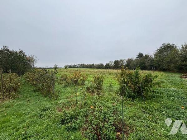 Nouveauté TRENTE-CINQ Notaires - NOYAL-CHATILLON-SUR-SEICHE 

Un ensemble immobilier à usage ...