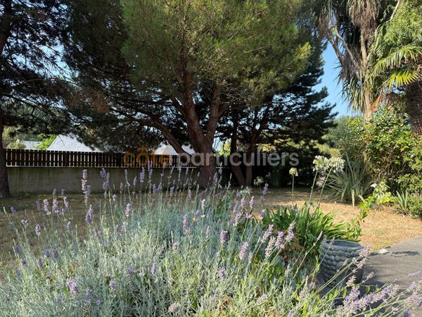 Vente
                Maison144 m² - 6 Pièces -
                    BREVILLE SUR MER (50290)