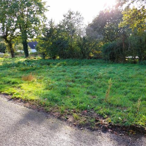 Terrain à PLOËRMEL (56800)