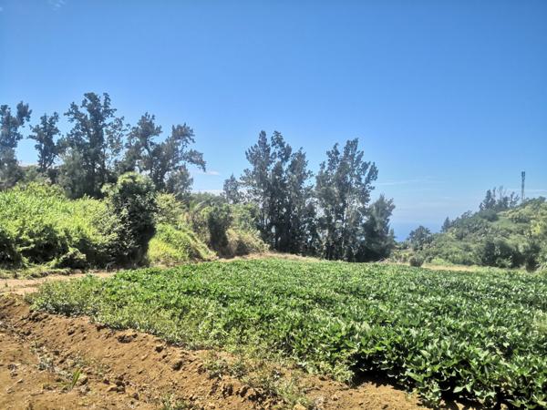 TERRAIN A BATIR PLAT PLAINE DES GREGUES