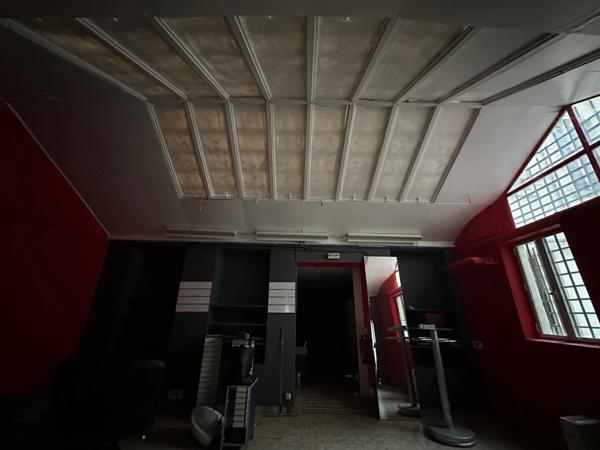 Local/bureau à vendre LYON 6EME (69)-murs commerciaux vides, local atypique de 196m2 environ