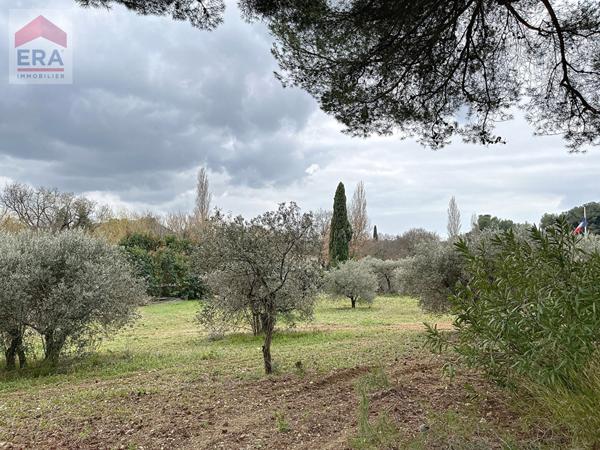 A vendre : Terrain contructible  viabilisé, vue dégagée et arboré d'oliviers à Ventabren de1060 m2