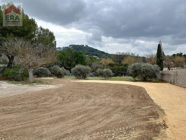 A vendre : Terrain contructible  viabilisé, vue dégagée et arboré d'oliviers à Ventabren de1060 m2