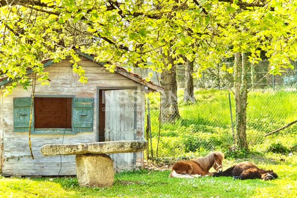 Maison de maître Vetraz Monthoux 10 pièce(s) 287 m2