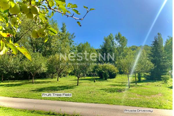Maison de maître Vetraz Monthoux 10 pièce(s) 287 m2