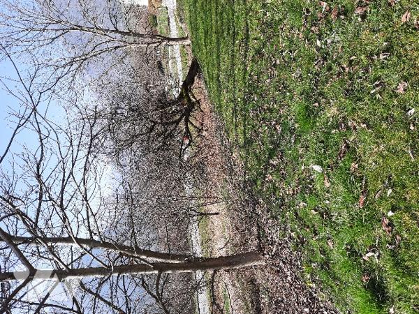 UGINE proche commerces, TERRAIN A BATIR de 1212m² en zone UB du PLU d'UGINE.