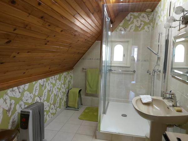 maison artisanale de 170m2 et 6132m2 de terrain, garages