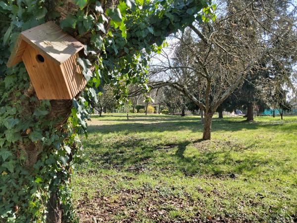 maison artisanale de 170m2 et 6132m2 de terrain, garages