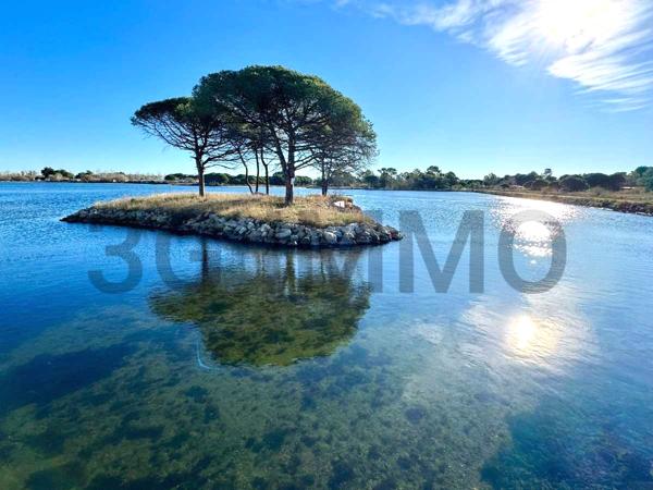 Vente / Appartement T2