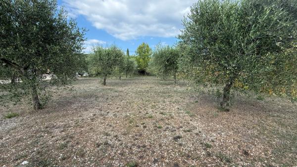 Terrain magnifique, plat et constructible de 1229 m2 sur Tavernes.