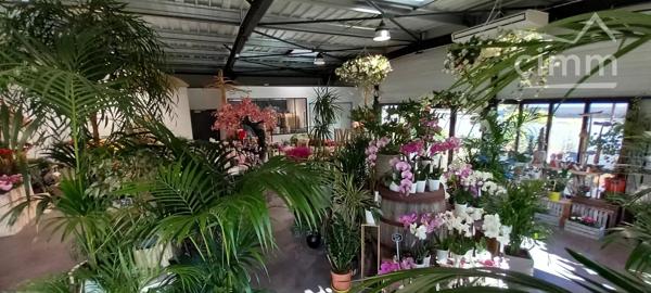 Nous vous proposons à la vente ce fonds de commerce de fleurs situé à Blois dans un emplcament stratégrique.