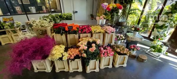 Nous vous proposons à la vente ce fonds de commerce de fleurs situé à Blois dans un emplcament stratégrique.