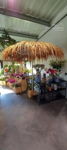 Nous vous proposons à la vente ce fonds de commerce de fleurs situé à Blois dans un emplcament stratégrique.