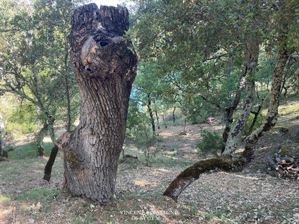 Maison avec vue et accès au lac d'Esparron de Verdon