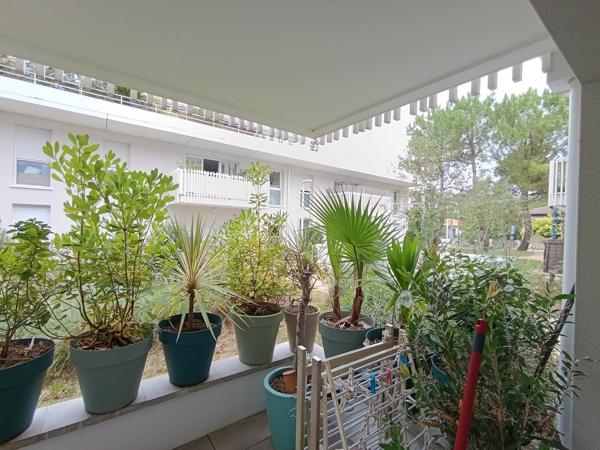 Appartement 2 pièces + terrasse + parking