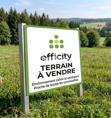 Terrain
        
        - 2305 m² 82 000 € *