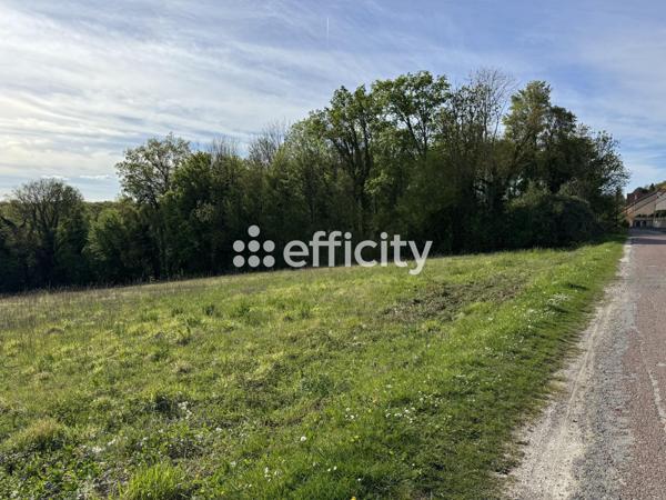 Terrain
        
        - 2305 m² 82 000 € *