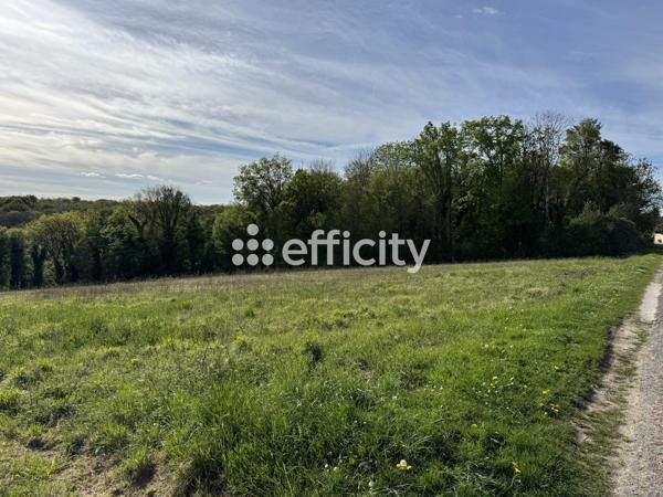 Terrain
        
        - 2305 m² 82 000 € *