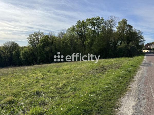 Terrain
        
        - 2305 m² 82 000 € *
