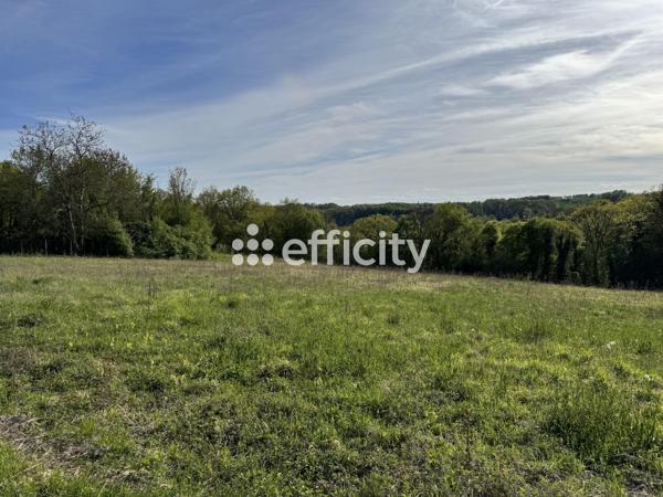 Terrain
        
        - 2305 m² 82 000 € *
