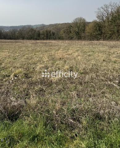 Terrain
        
        - 2305 m² 82 000 € *