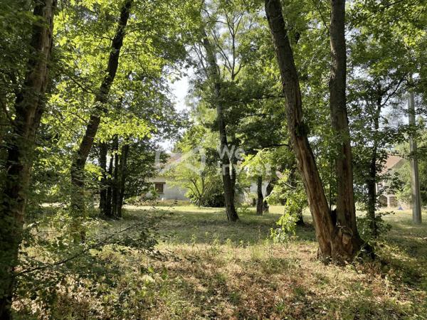 Longère rénovée 4 chambres – 177 m² + dépendances – Terrain 5 307 m² avec bois et piscine