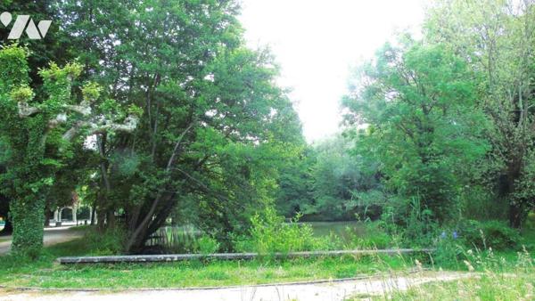 Appartement T4 de 116m² (88m² loi carrez) en rez-de-chaussée à Lons Le Saunier face aux thermes.