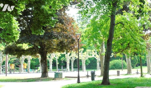 Appartement T4 de 116m² (88m² loi carrez) en rez-de-chaussée à Lons Le Saunier face aux thermes.