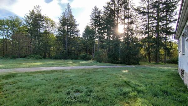 Vente Maison 398 m2 à Nouan-le-Fuzelier