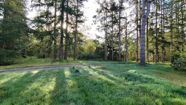 Vente Maison 398 m2 à Nouan-le-Fuzelier