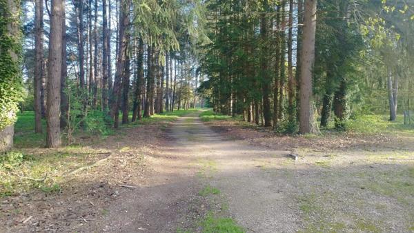 Vente Maison 398 m2 à Nouan-le-Fuzelier