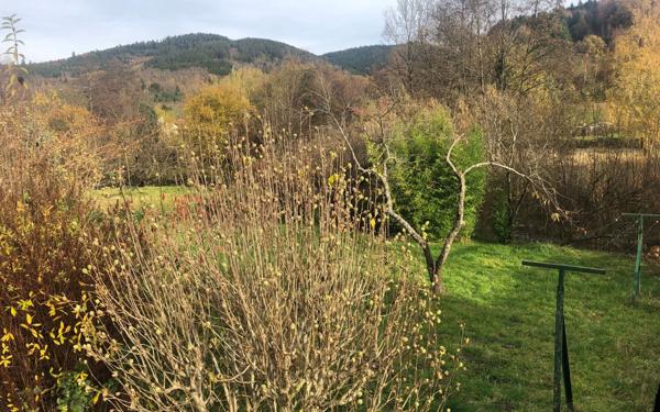 Maison à vendre    4 pièces • 102 m2 Plainfaing