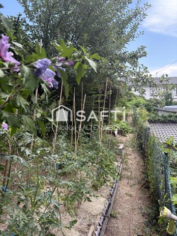 Appartement coup de coeur à Ribeauvillé